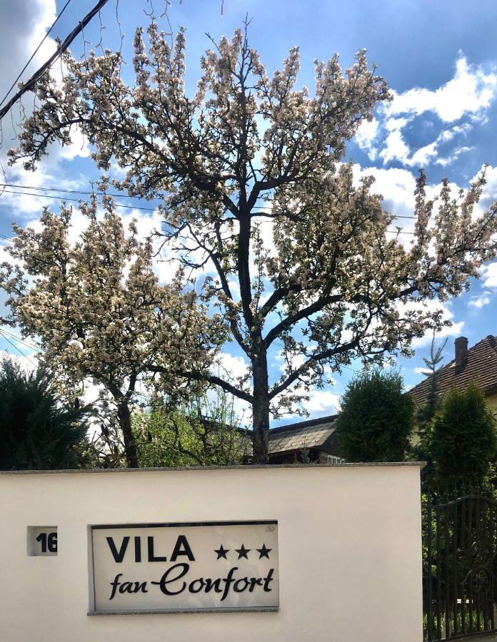 Vila Fan Confort Vişeu de Sus Exteriér fotografie