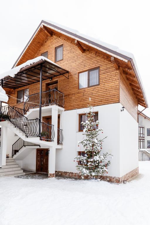 Vila Fan Confort Vişeu de Sus Exteriér fotografie