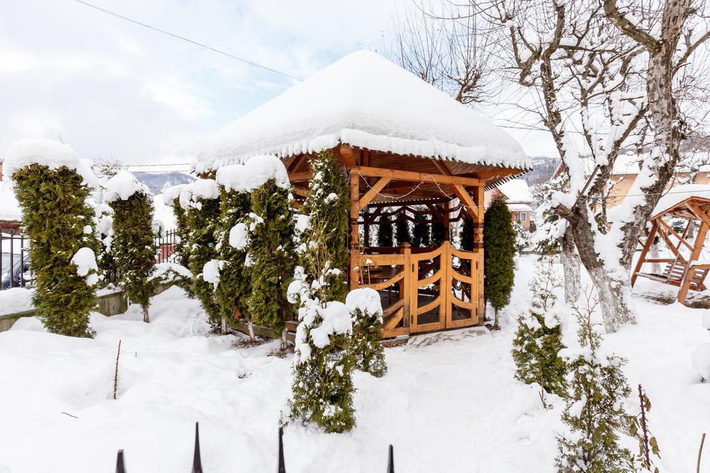 Vila Fan Confort Vişeu de Sus Exteriér fotografie