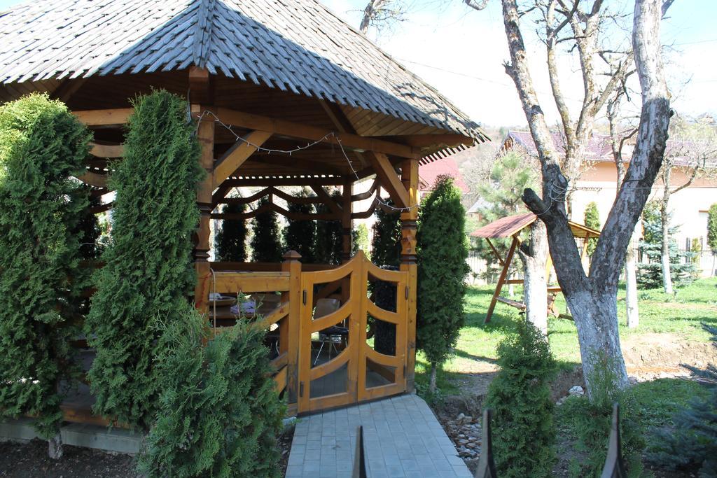 Vila Fan Confort Vişeu de Sus Exteriér fotografie