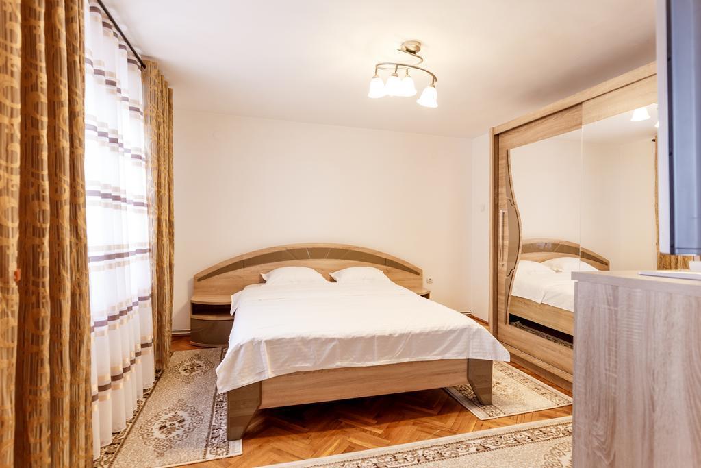 Vila Fan Confort Vişeu de Sus Exteriér fotografie