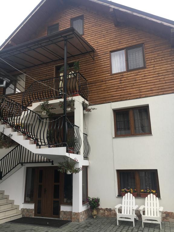 Vila Fan Confort Vişeu de Sus Exteriér fotografie