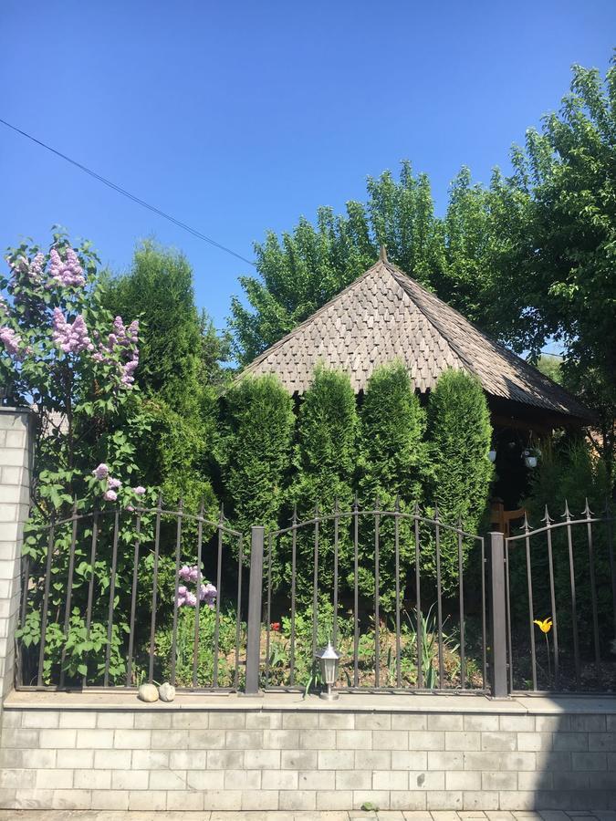 Vila Fan Confort Vişeu de Sus Exteriér fotografie