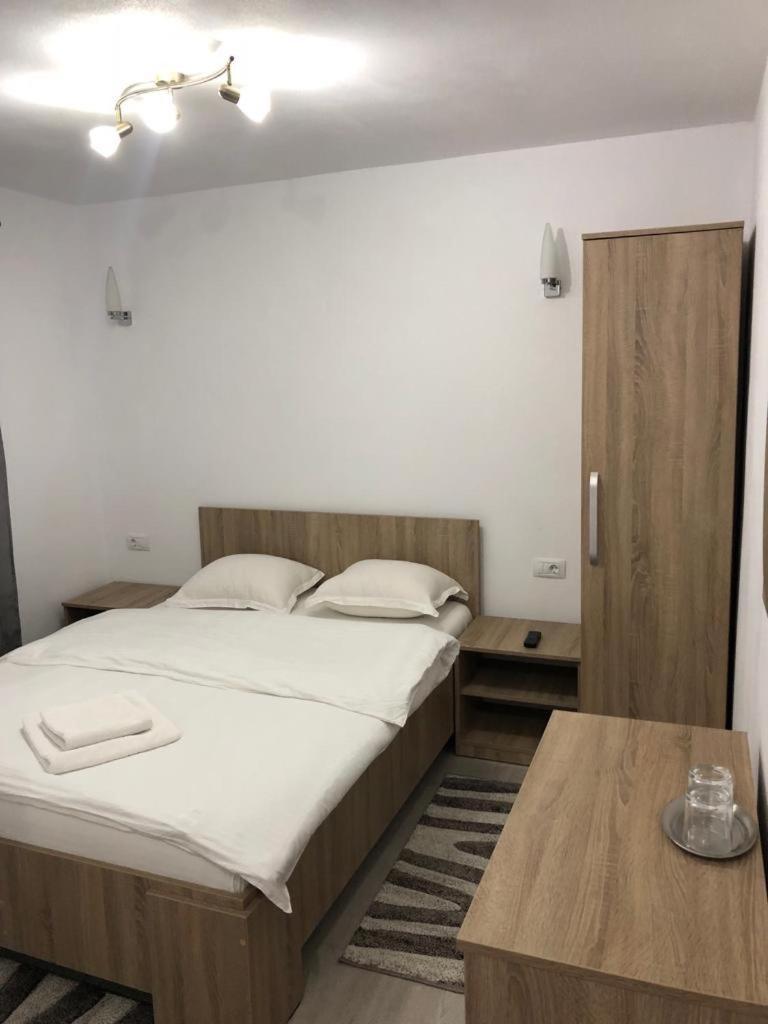 Vila Fan Confort Vişeu de Sus Exteriér fotografie