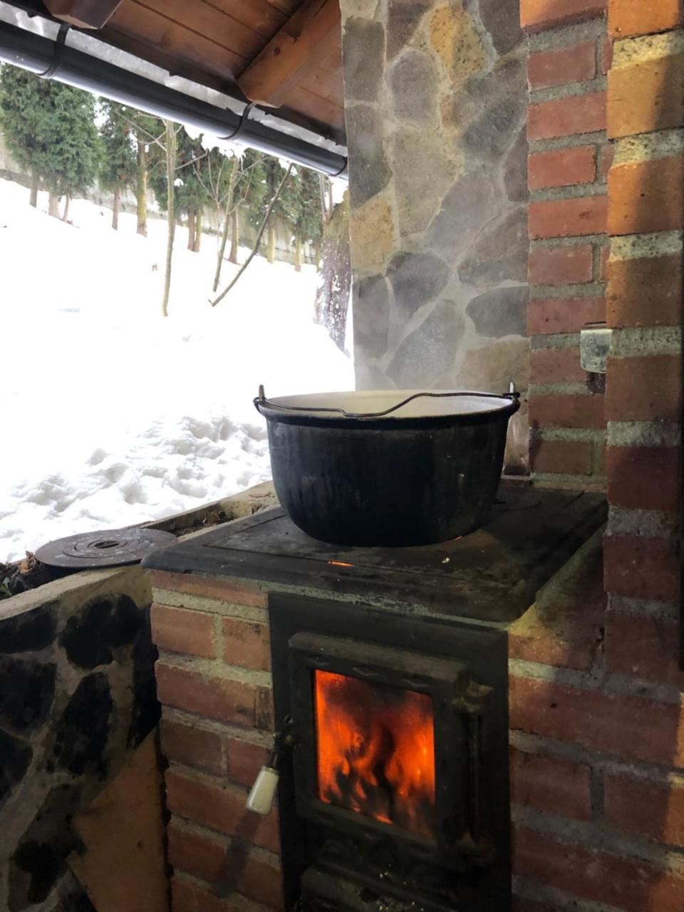 Vila Fan Confort Vişeu de Sus Exteriér fotografie