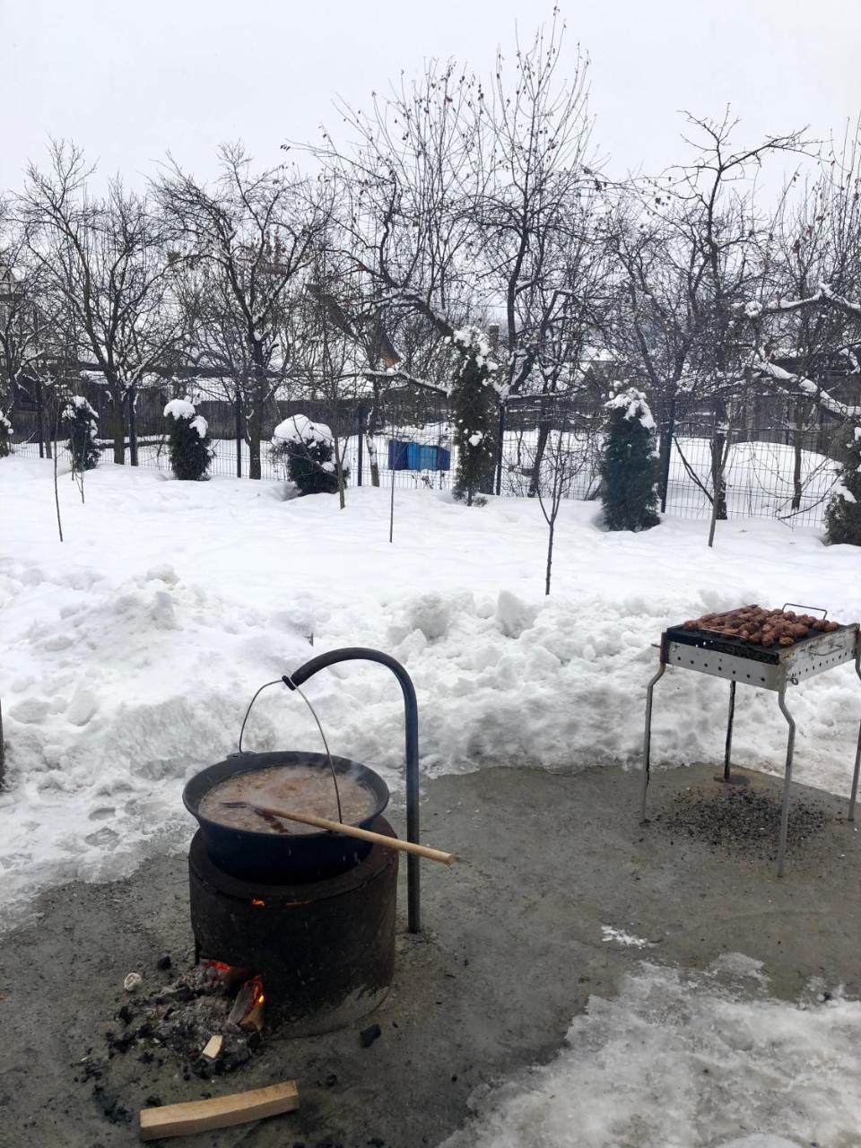 Vila Fan Confort Vişeu de Sus Exteriér fotografie