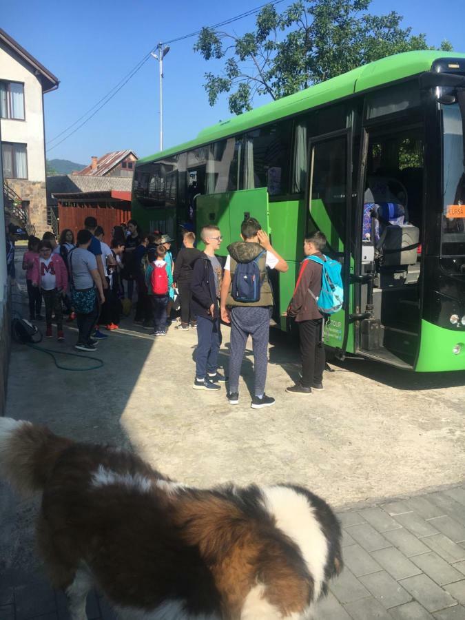 Vila Fan Confort Vişeu de Sus Exteriér fotografie