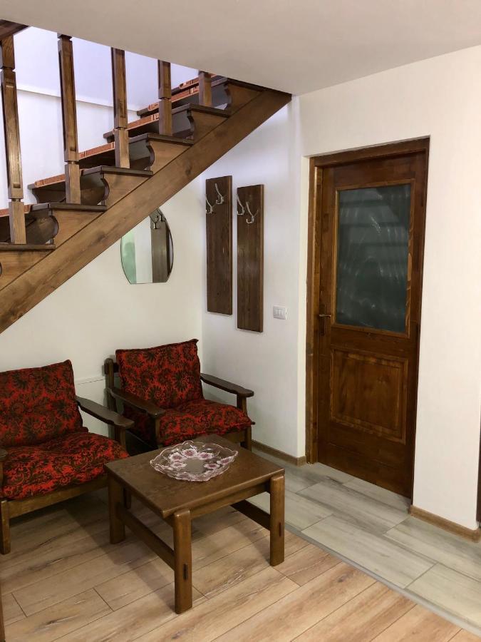 Vila Fan Confort Vişeu de Sus Exteriér fotografie