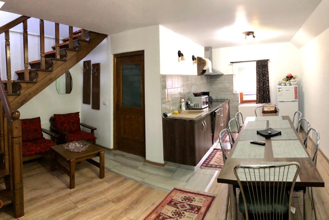 Vila Fan Confort Vişeu de Sus Exteriér fotografie