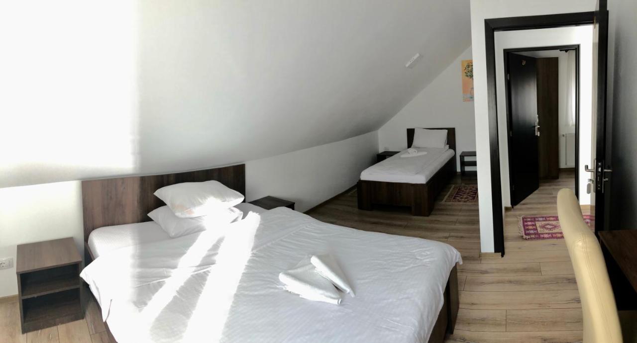 Vila Fan Confort Vişeu de Sus Exteriér fotografie